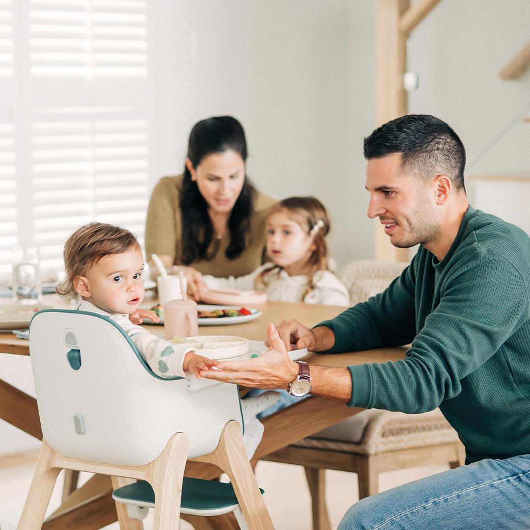 UPPABaby Ciro Highchair - Emrick-Highchairs-Emrick-No Mealtime Set | Natural Baby Shower