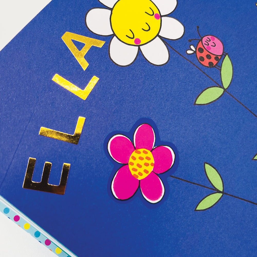 Rachel Ellen - Книга для раскрашивания и занятий Love Our Planet с наклейками