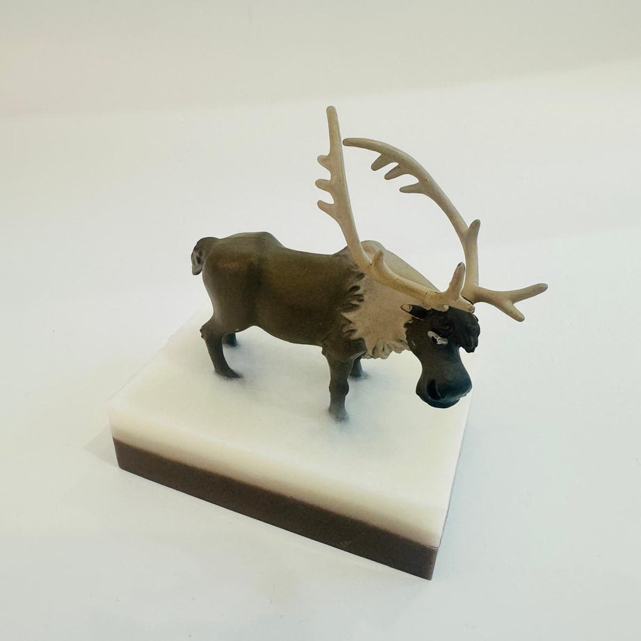 Baveal – Детское лесное приключение Увлажняющее мыло для рук и тела