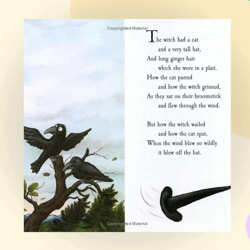 Pan Macmillan - Джулия Дональдсон и Аксель Шеффлер Комната на метле Английская книга с историями