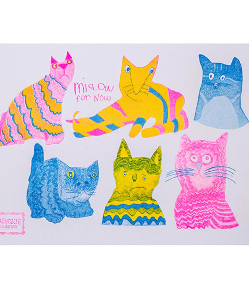 Portico Designs - Arthouse Unlimited Miaow A5 Твердый переплет Ежедневник