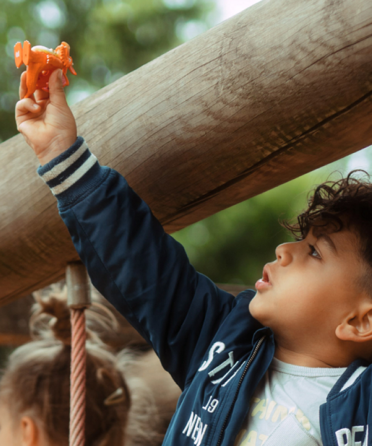 Tonies - Джулия Дональдсон Зог английская звуковая фигурка