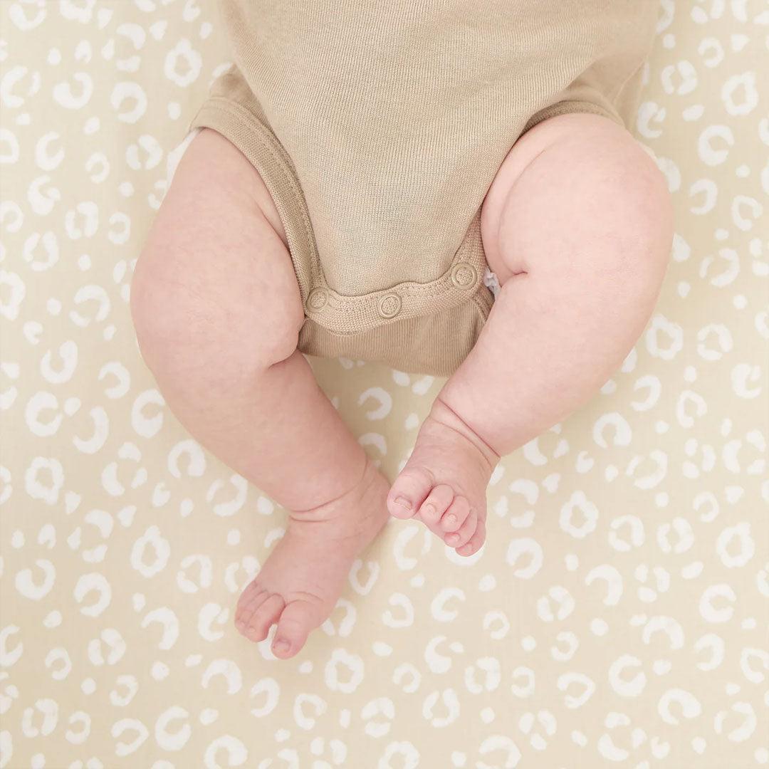 Tutti Bambini Bedside Crib Starter Pack - Love Cats-Bedding Sets-Love Cats- | Natural Baby Shower